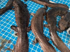 -潇湘·永州会馆(百子湾店)