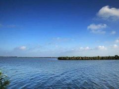 -漕湖湿地公园