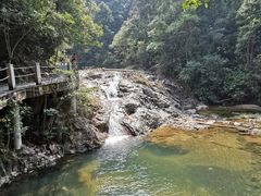 -九龙江国家森林公园