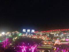 -枇杷园食为鲜火锅(南山店)