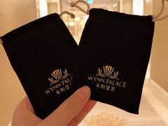 -永利澳门酒店