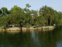 -金砂公园