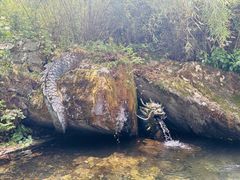 -苍山感通索道