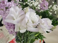 -盒马鲜生(帝斯曼店)