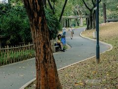 -晓港公园