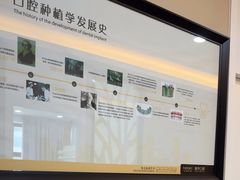 -深圳麦芽口腔医院(罗湖总院)