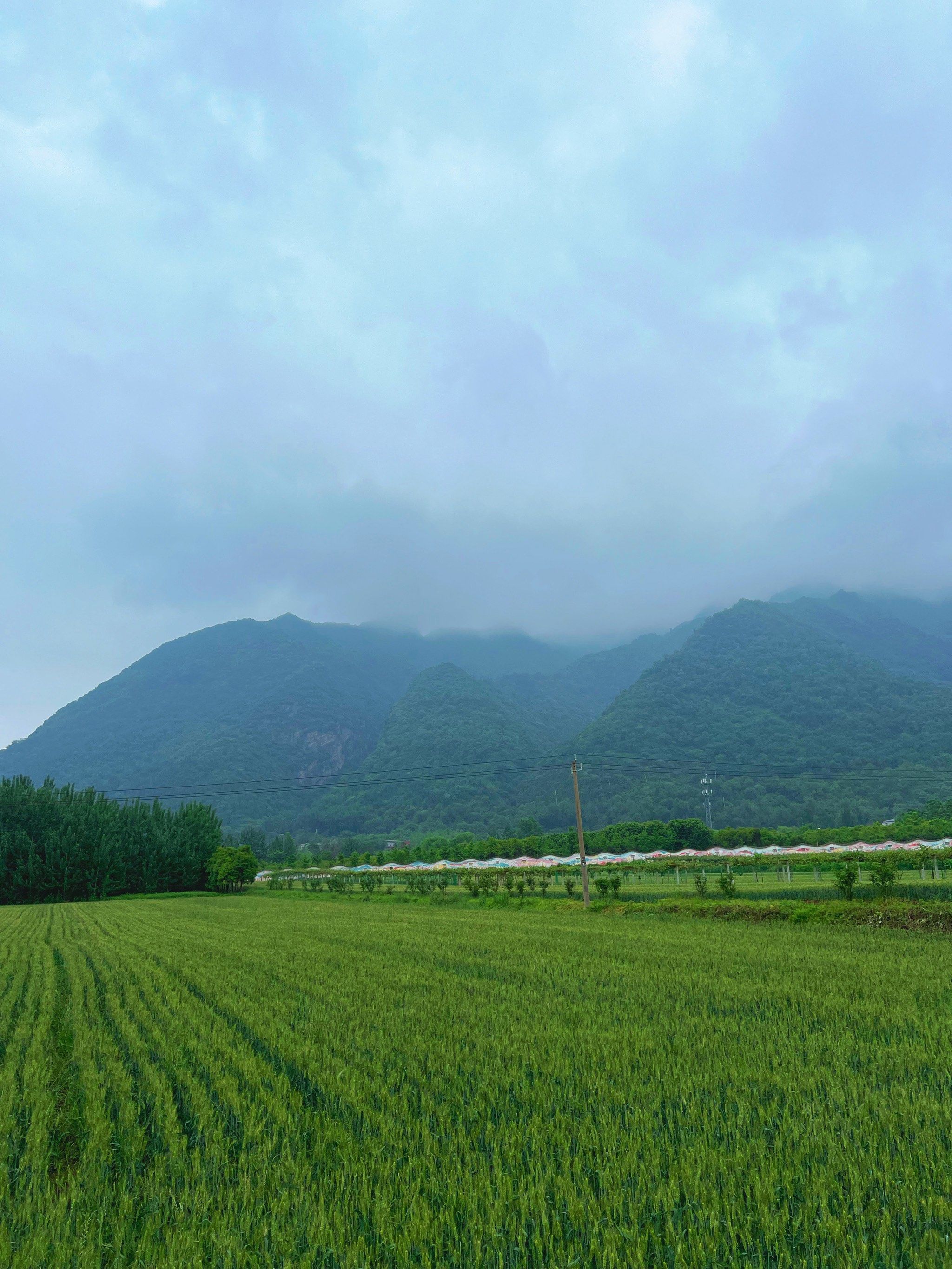乡村路上的风景线