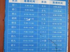 -奉贤海滩