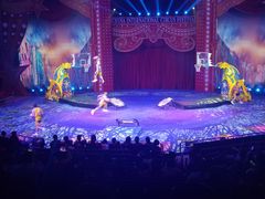 -珠海横琴长隆《卡卡虎奇遇记》