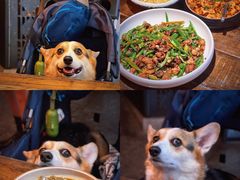 -铁公鸡·四川料理(天环广场店)