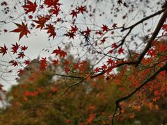 -鹅岭公园瞰胜楼