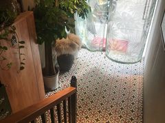 -越美小馆·越南料理(曲江店)