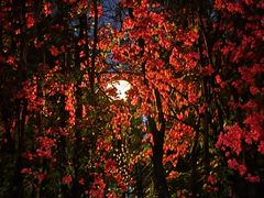 -深圳海景嘉途酒店(东翼楼)