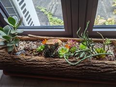 -Siam泰餐厅(水上公园店)