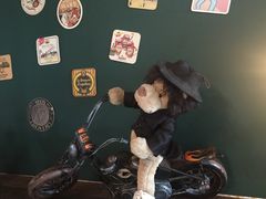 -济州岛泰迪熊博物馆