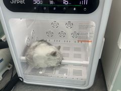 -爱洗澡的猫(望京店)