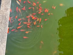 -西安大唐西市博物馆