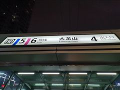 -大龙山(地铁站)