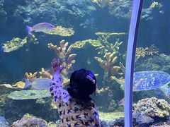 -华夏文旅海洋公园