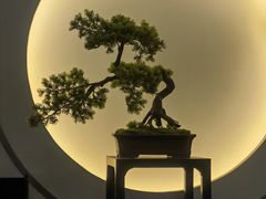 -席仁堂推拿按摩脊柱调理(世纪科贸大厦店)