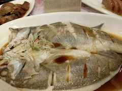 -老酒川菜坊(中山西路店)