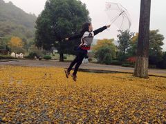 -金钉子远古世界景区