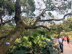 -云溪植物园