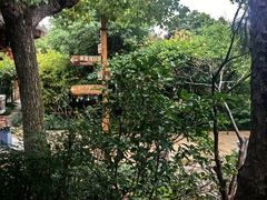 -观唐（国际）度假村温泉