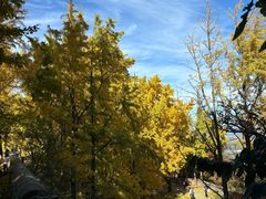 -阳台山自然风景区