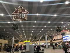 -谢列梅捷沃国际机场