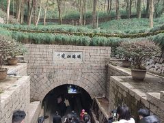 -瑶琳仙境