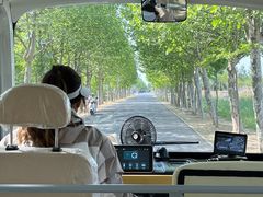 -盐城丹顶鹤湿地生态旅游区