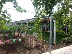 -白鹿原葡萄主题公园