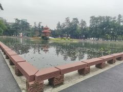-四川大学(望江校区)