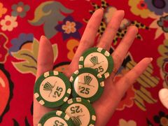 -拉斯维加斯永利酒店