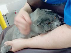 -宠福鑫康馨动物医院·骨科·眼科