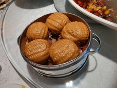 -新概念来凤鱼(璧山店)