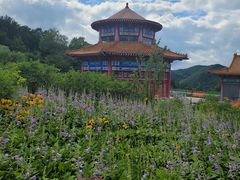 -香炉山国家森林公园