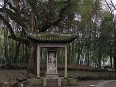 -兰亭风景区