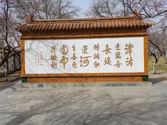 -桃花堤公园