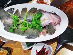 -红牌美蛙鱼头火锅(万辉国际广场店)