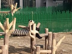 -沈阳森林动物园