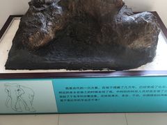-北京周口店北京人遗址博物馆