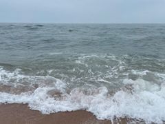 -渡海小渔村.老辈日照菜