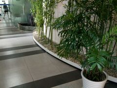 -樱花国际日语(徐家汇中心)