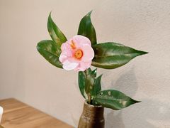 -青桃餐厅