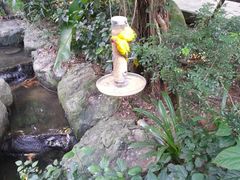 -新加坡飞禽公园