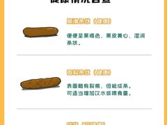 -瑞派申生动物医院·24H夜诊·国际动物医疗中心·骨外科(吴中路店)