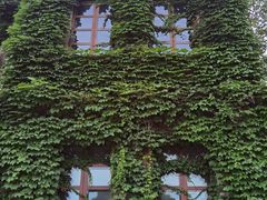 -半岛1919创意园区