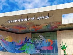 -杉杉奥特莱斯广场(哈尔滨店)